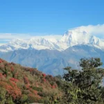 Eastern Himalayas: Sikkim and Darjeeling
