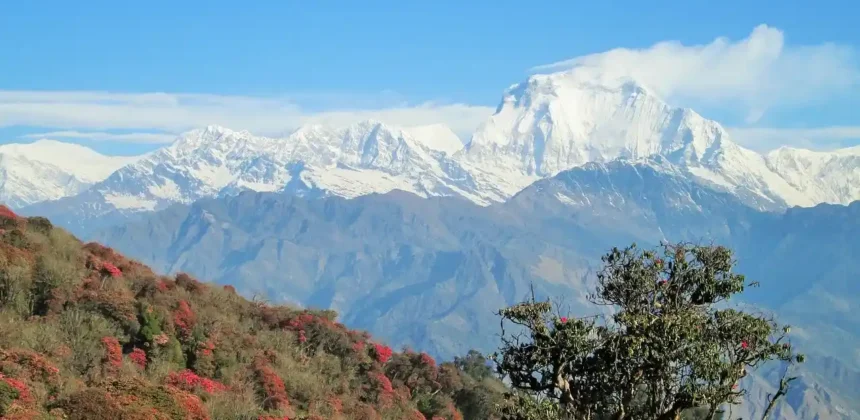 Eastern Himalayas: Sikkim and Darjeeling