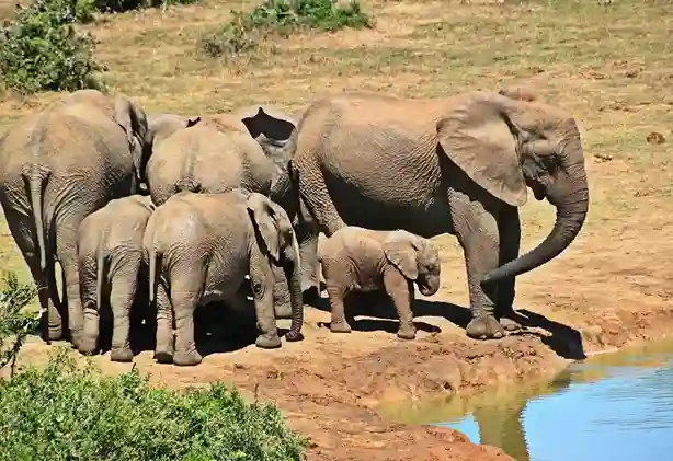 Best Time to Visit Bandhavgarh National Park