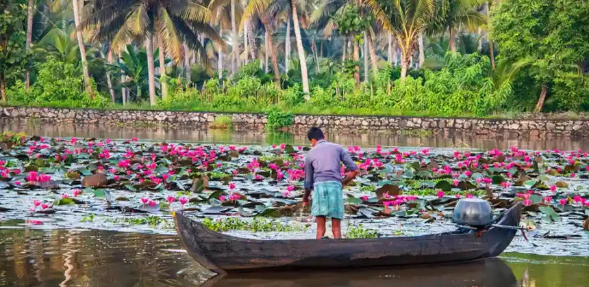 South india tour