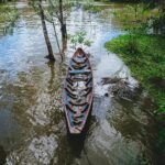 Alleppy Backwater