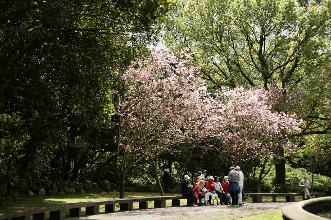 Blossom International Park Munnar