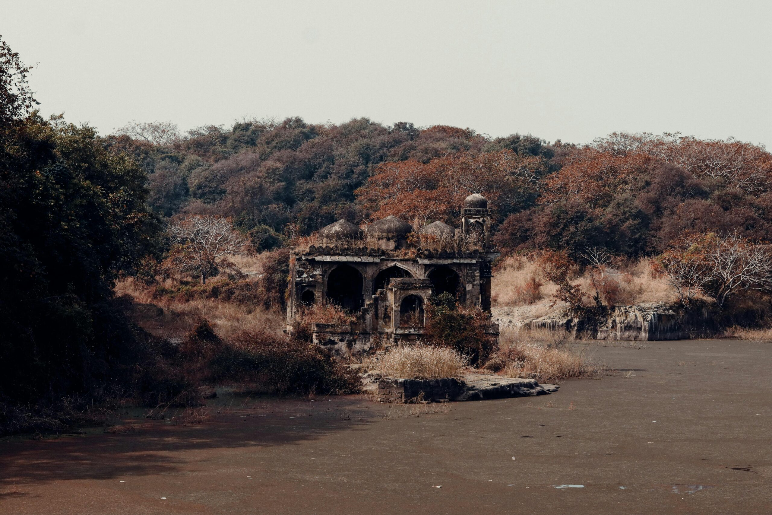Exploring Ranthambore Fort