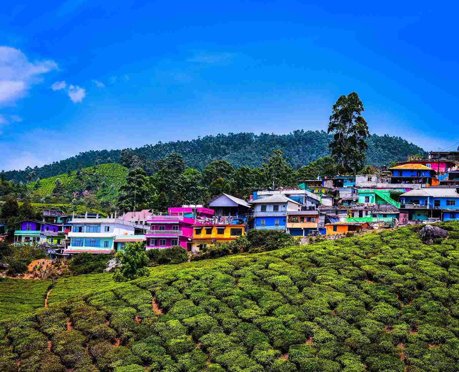 Making the Most of Your Munnar Adventure