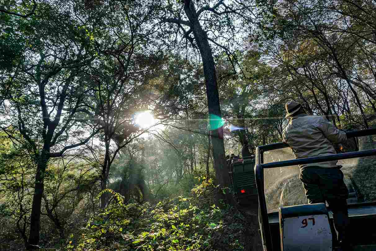 Ranthambore National Park Rajasthan