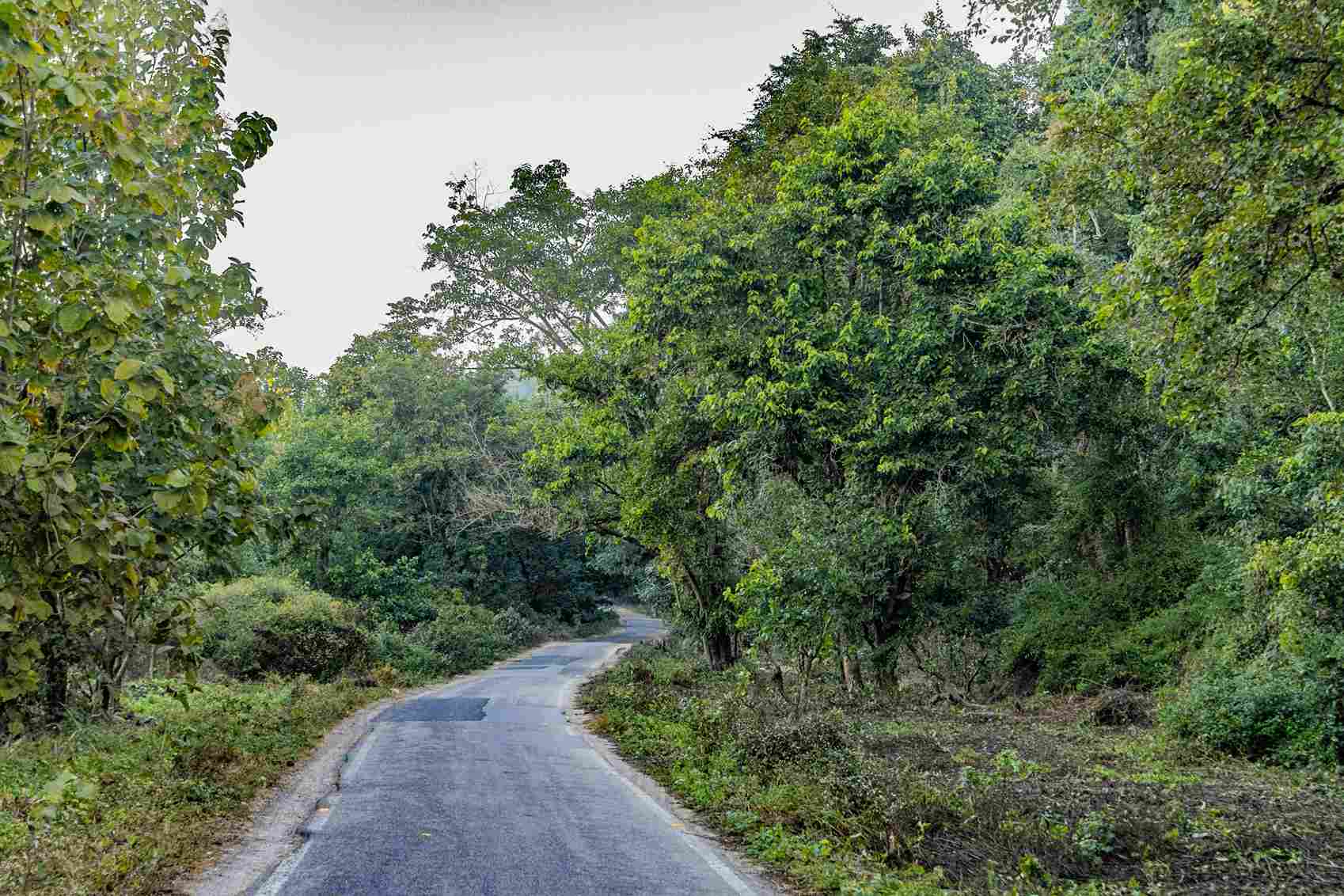 Road Trip to Corbett Driving Made Easy