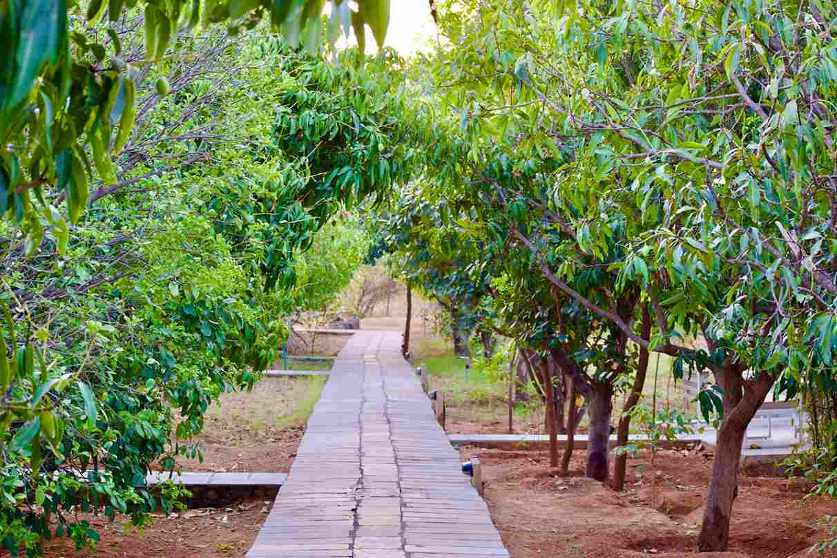 Sariska National Park