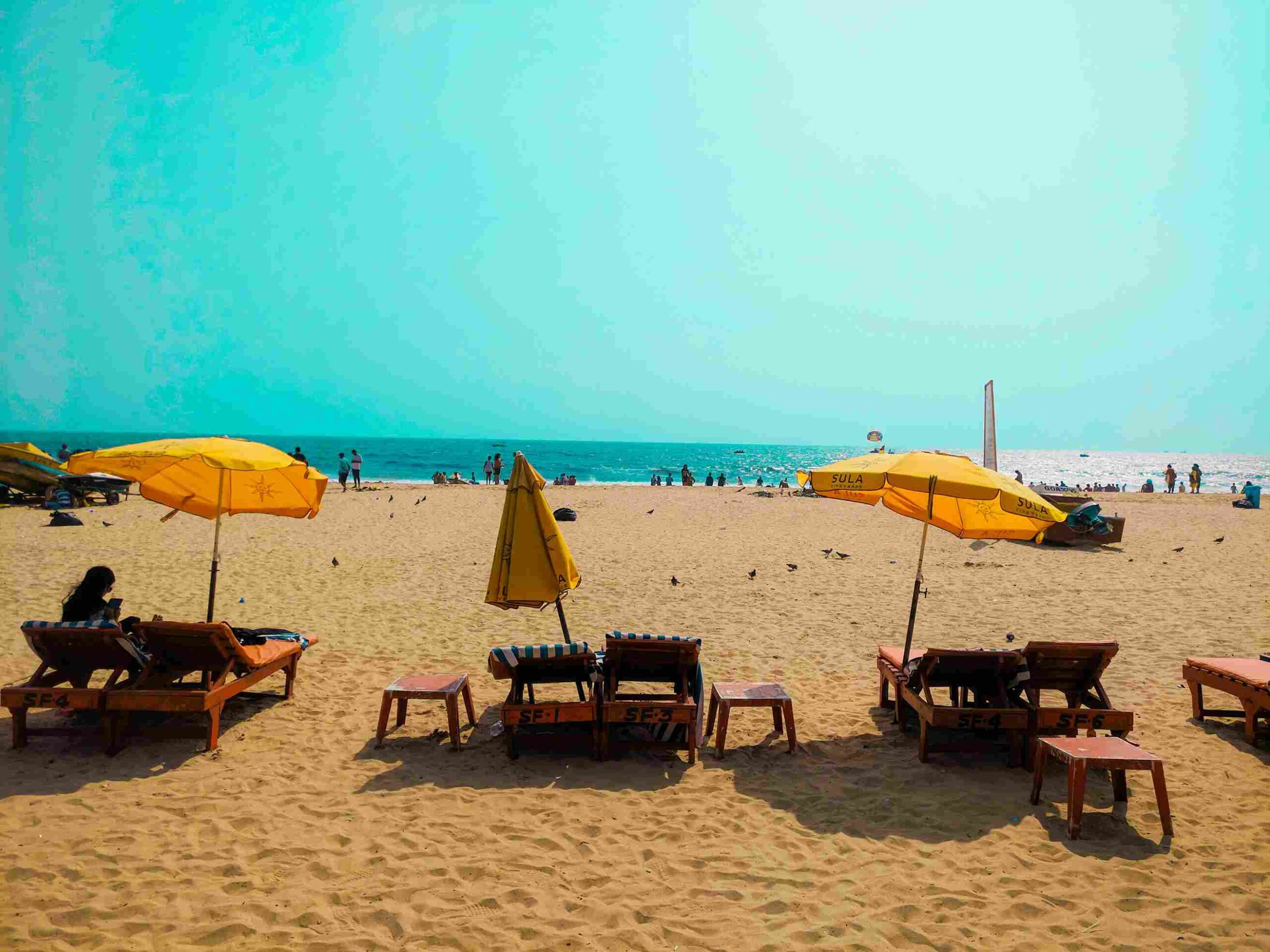 Shoulder Season goa