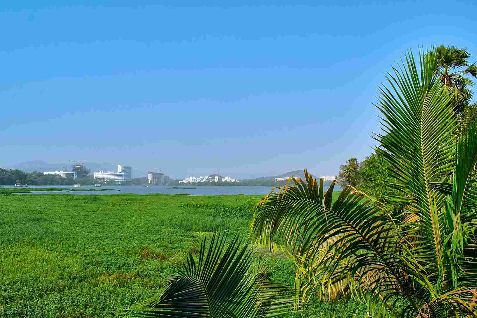 The Greens & Coast of Mumbai