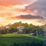 Unveiling Munnar’s best places to visit