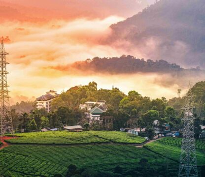 Unveiling Munnar’s best places to visit