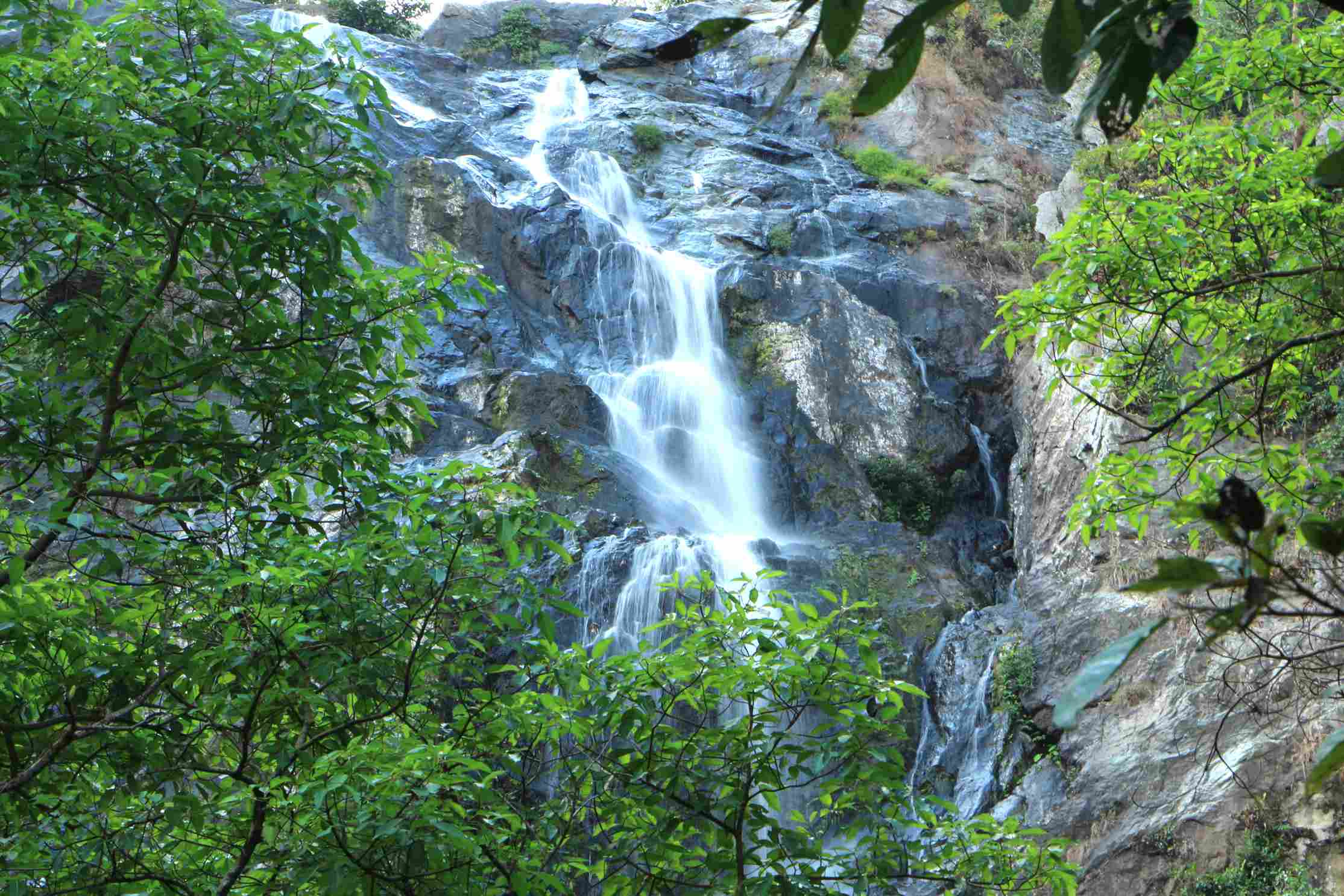 Waterfalls and Natural Wonders Munnar