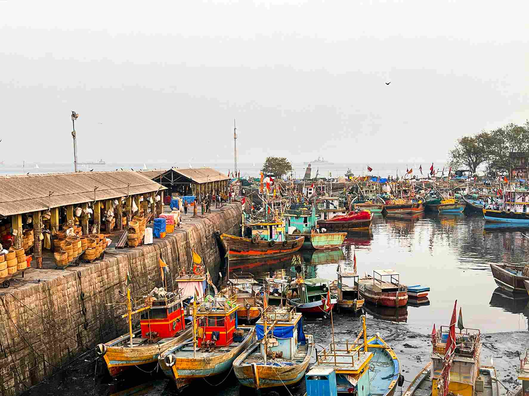 mumbai fish market