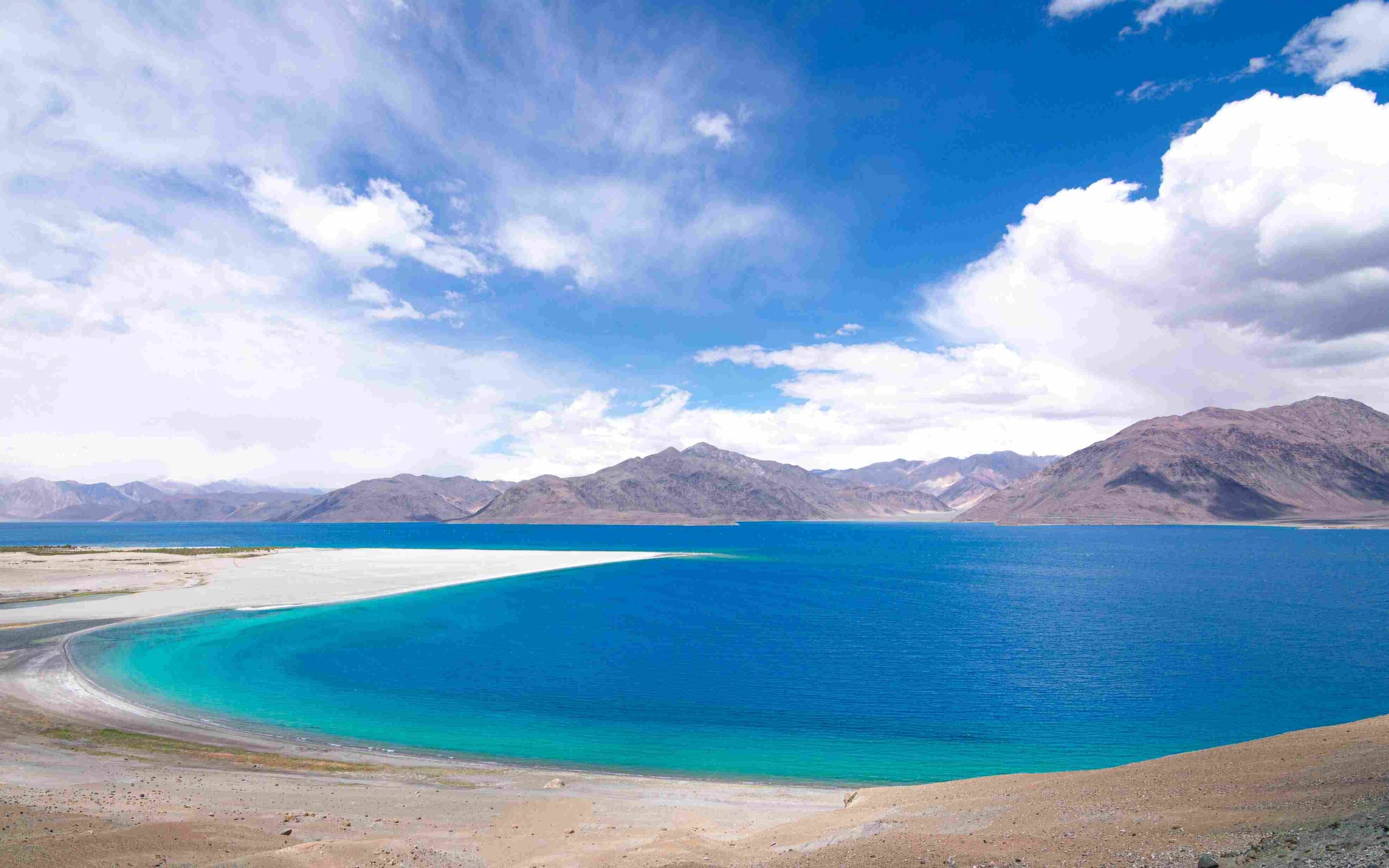 pangong lake ladakh